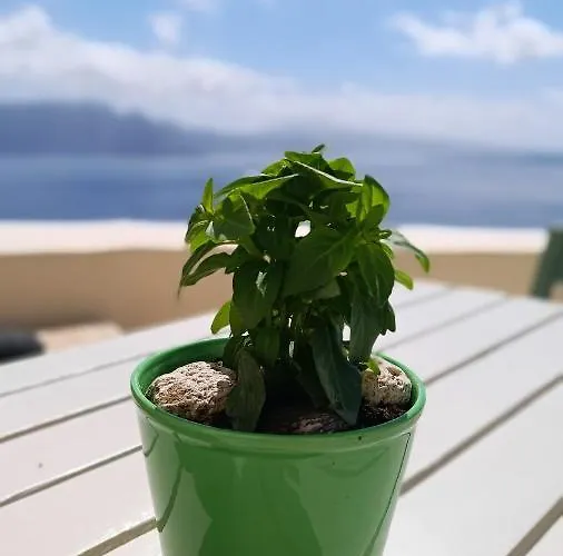 Elias Cave House 270o Caldera View * イア