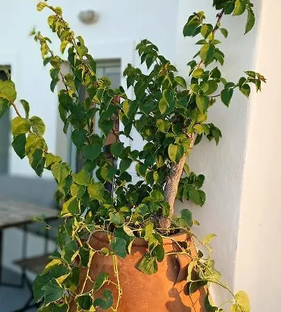 Elias Cave House 270o Caldera View Ía